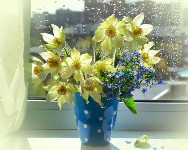 Солнечного весеннего утра и хорошего настроения