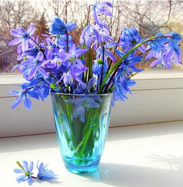 Весеннего настроения и душевного тепла