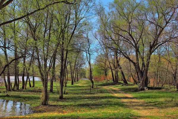 Ранняя Весна в парке