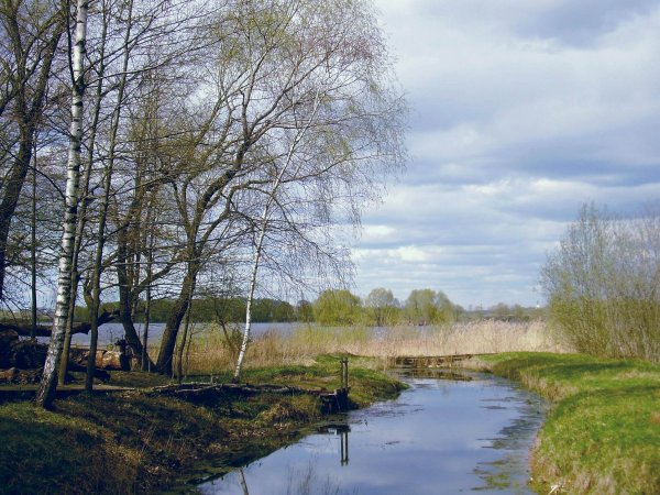 Весна природа деревня