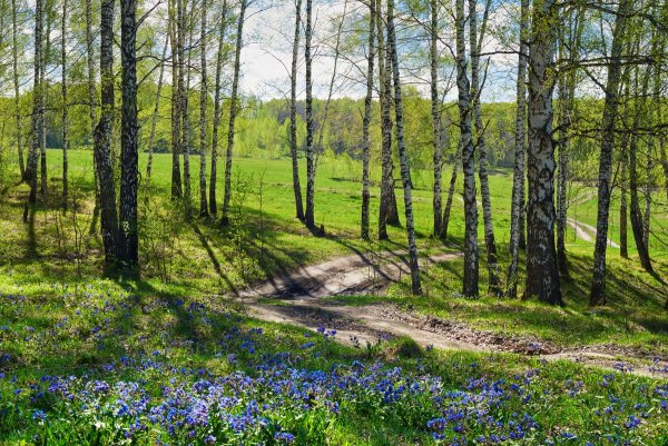 Майский ливень