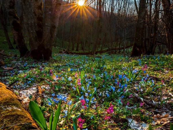 Горы из мультика