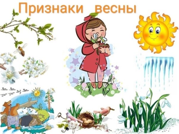 Приметы времен года для дошкольников