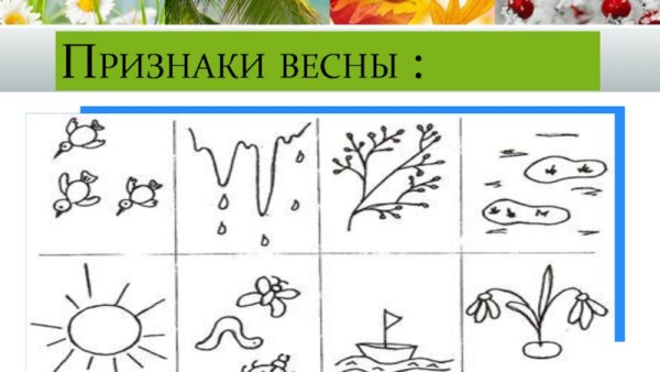 Признаки времен года для дошкольников
