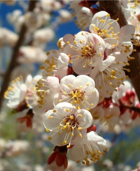 Хорошего весеннего настроения