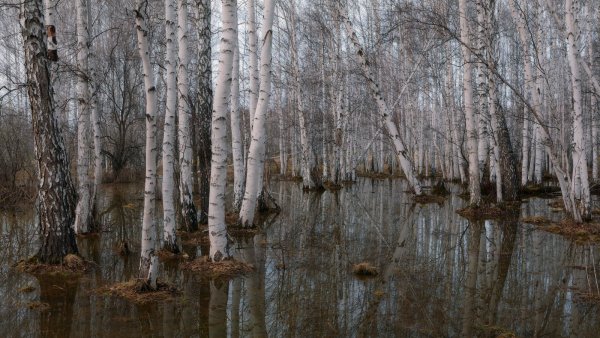 Ранняя Весна половодье