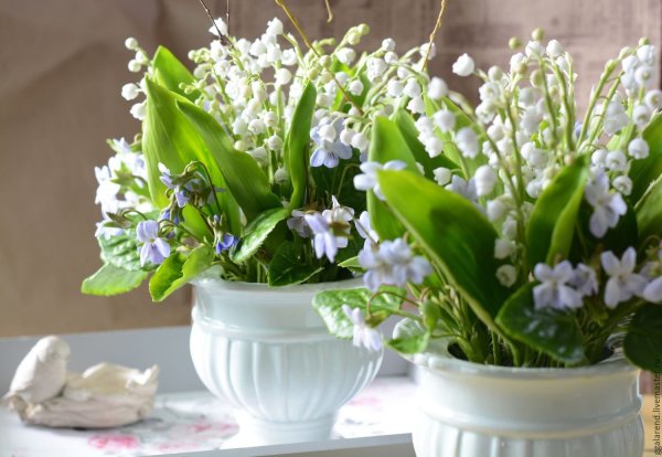 Ландыши "первоцветы"