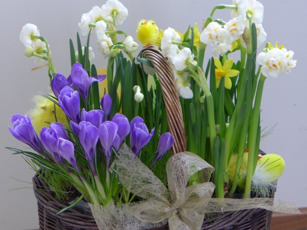 Стильные весенние букеты
