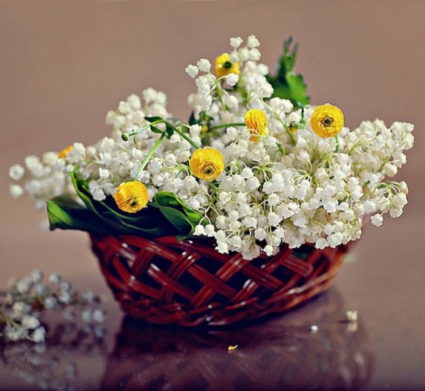 Весенние цветы Ландыши