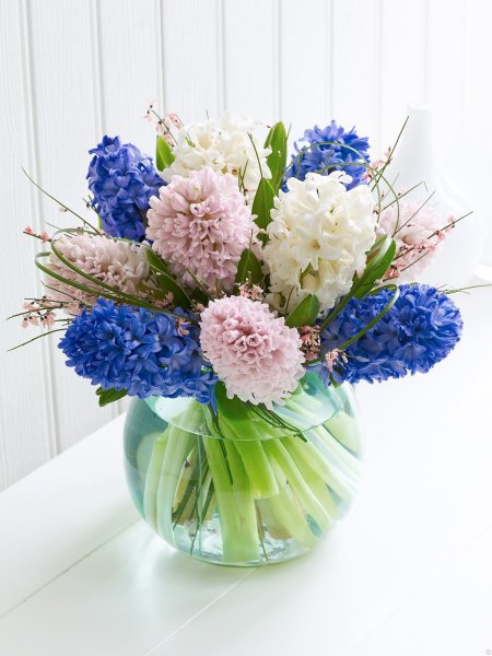 Гиацинт пионы тюльпаны