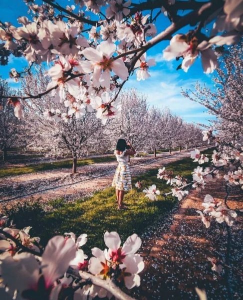 Фотосессия в платье в горошек на природе