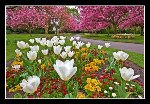 Весна Цветущий сад