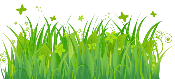 Трава рисунок