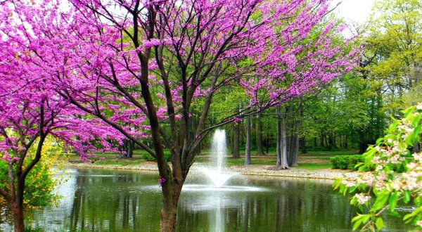 Spring scenery background