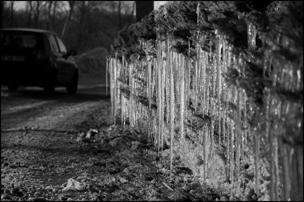 Одинокая природа