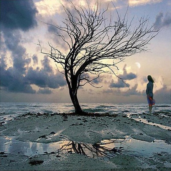 Депрессия у 7 летнего