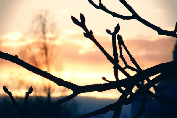 Весна депрессия