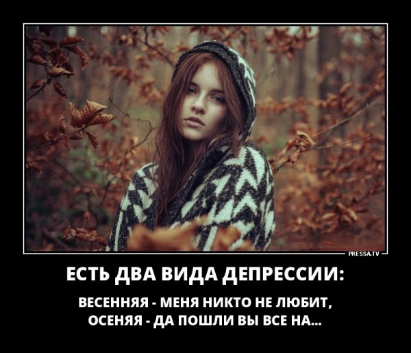 Шутки про осень