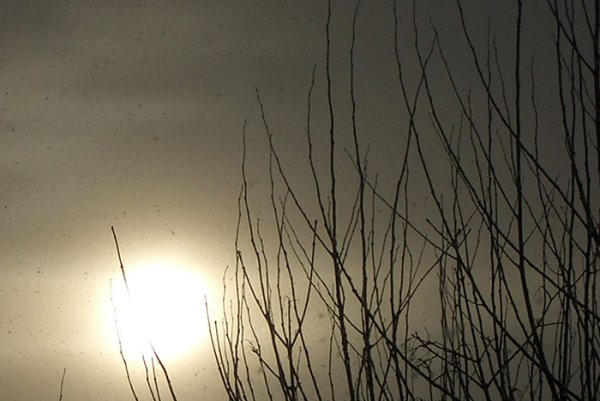 Депрессия юмор