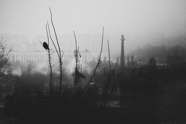 Депрессивное лето