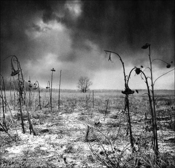 Девушка на подоконнике