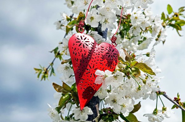 Любовь весной