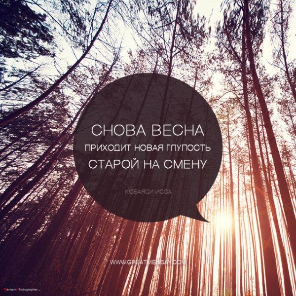 Цитаты про весну