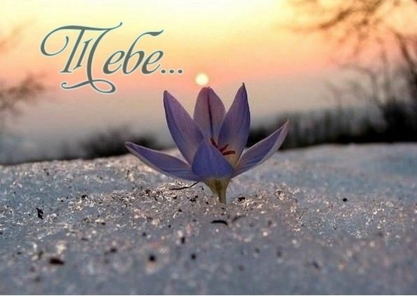 Весна новая жизнь