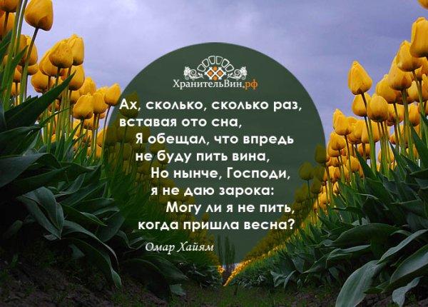 Цитаты про весну