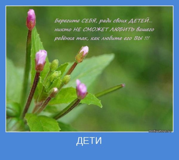 Цитаты про весну