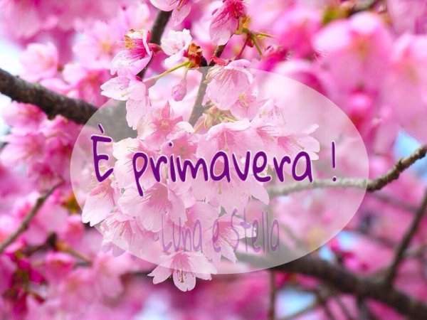 Весенние статусы