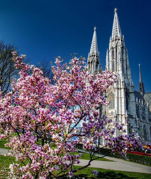 Австрия Вена Весна