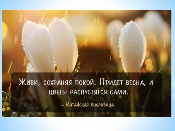 Весна цитаты красивые