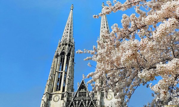 Австрия Вена Весна