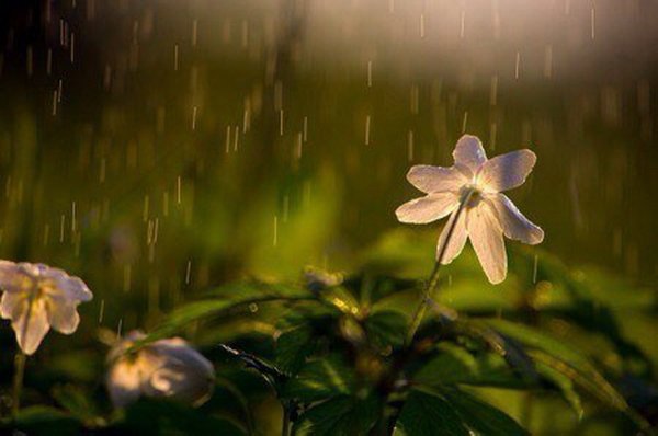 Ксения Бахвалова