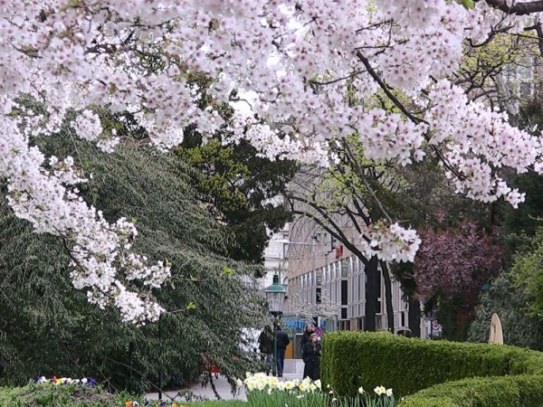 Весенний Будапешт