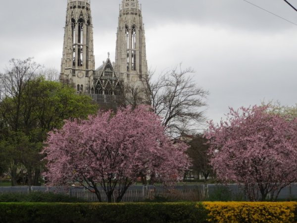 Весенняя Вена