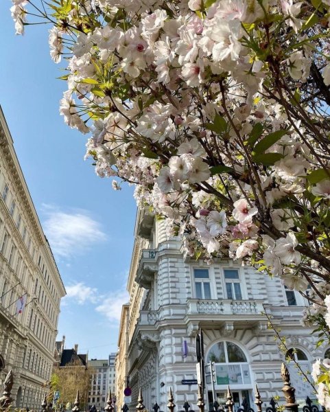 Вена в марте