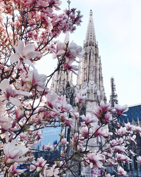 Венгрия Будапешт лето