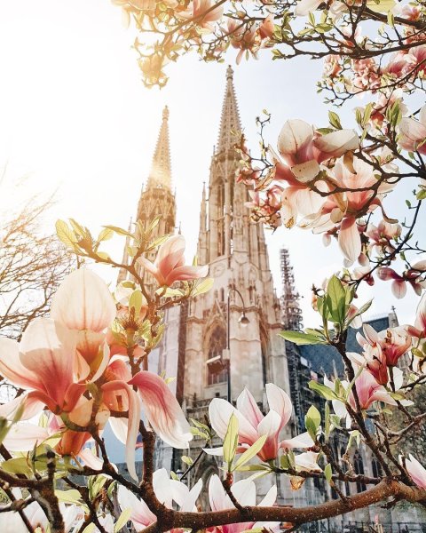 Весна в Швейцарии