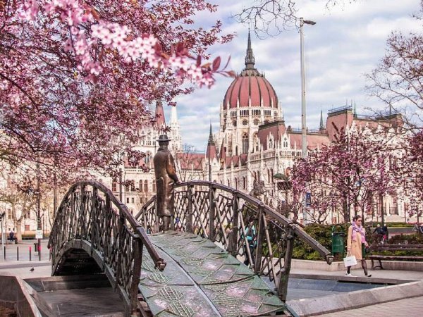 Вена весной фото