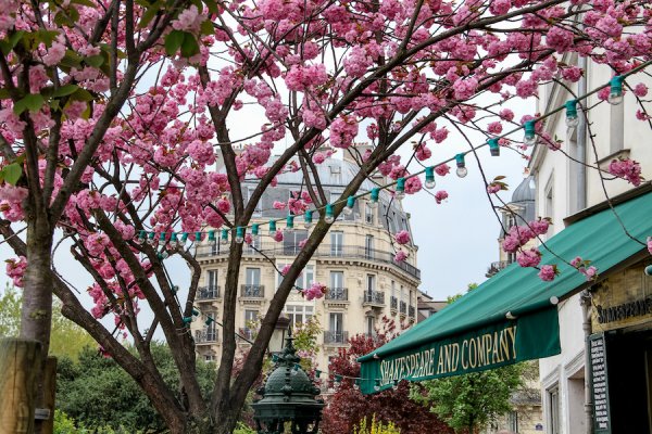 Венгрия Будапешт весной