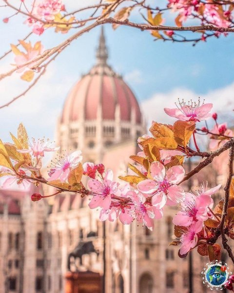 Австрия Вена Весна