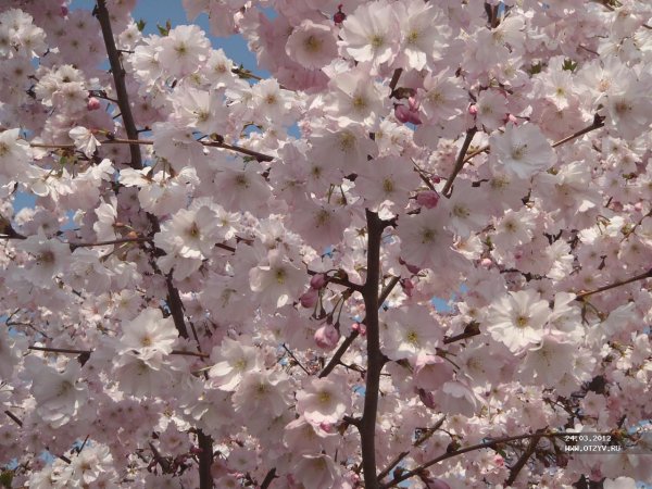 Венгрия Будапешт