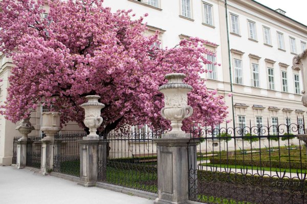 Осень в Зальцбурге