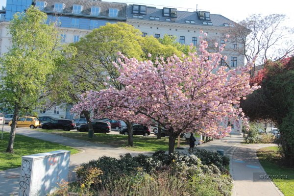 Дрезден весной