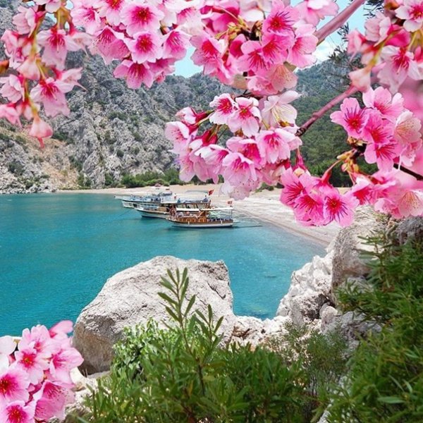 Весна в Турции