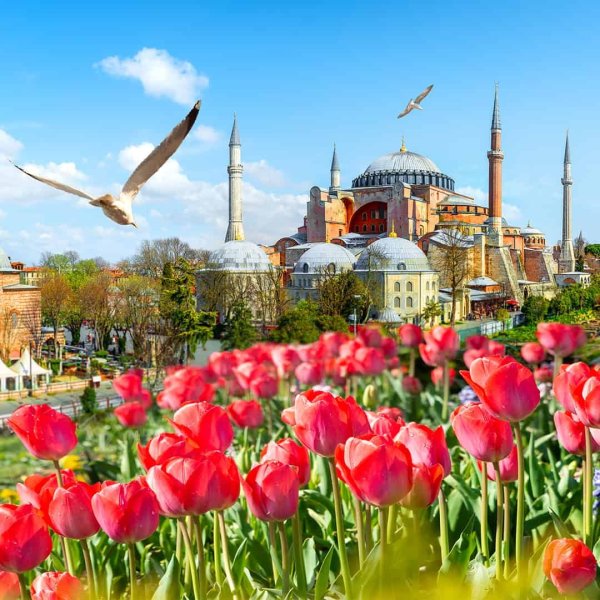 Султанахмет фестиваль тюльпанов