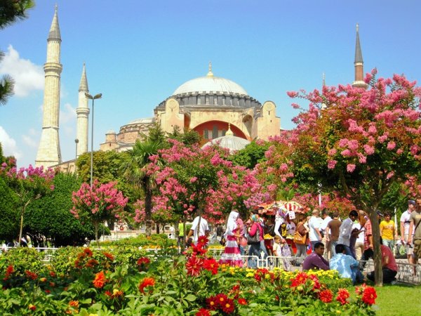 Стамбул Цветущий Турция