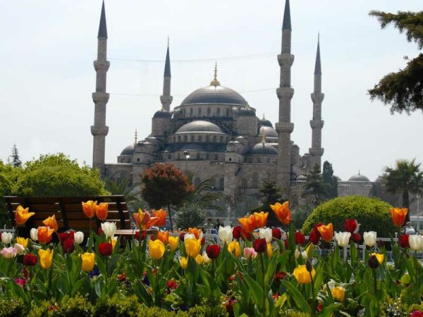 Фестиваль тюльпанов Стамбул Айя София